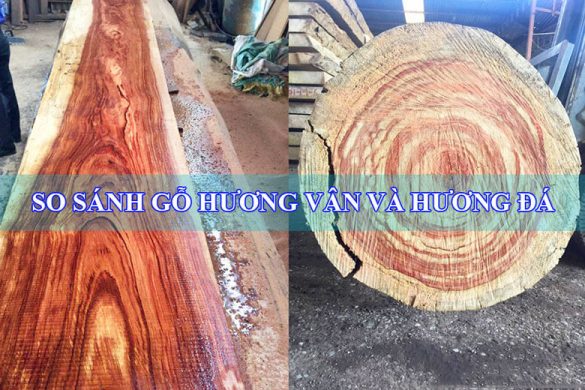 Gỗ hương vân và hương đá